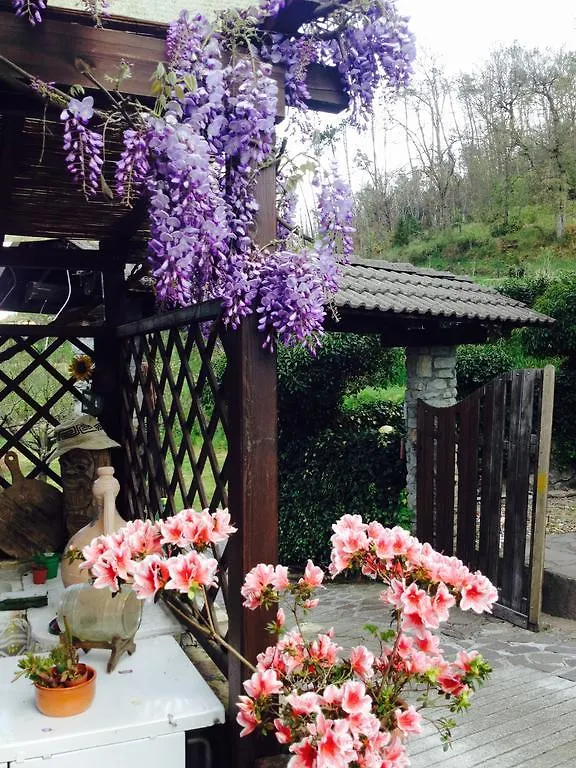 Il Ghiro B&B Ricco del Golfo di Spezia Italy