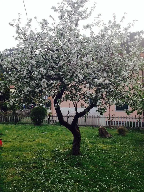 فندق مبيت وإفطار ريكو ديل غولفو دي سبيزيا Il Ghiro B&B إيطاليا