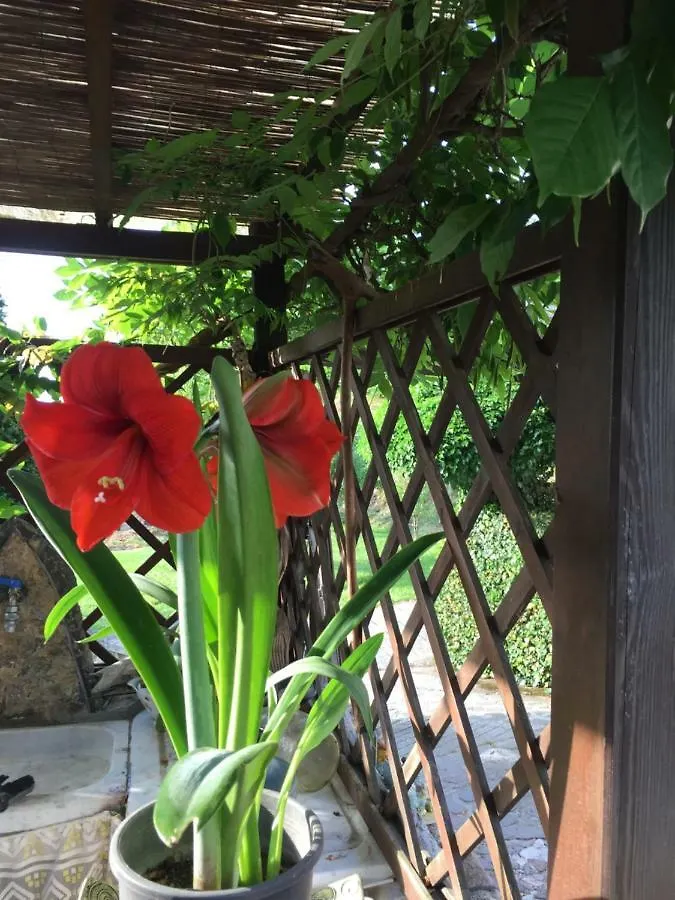 Il Ghiro B&B Riccò del Golfo di Spezia Italie